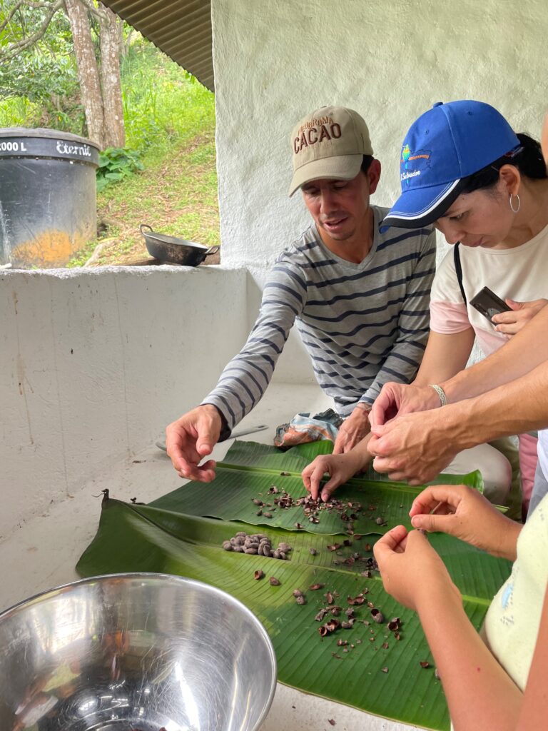 04CF4547-3188-48FF-9430-EBC71B1D8862_L0_001-26_8_2023 12_02_50