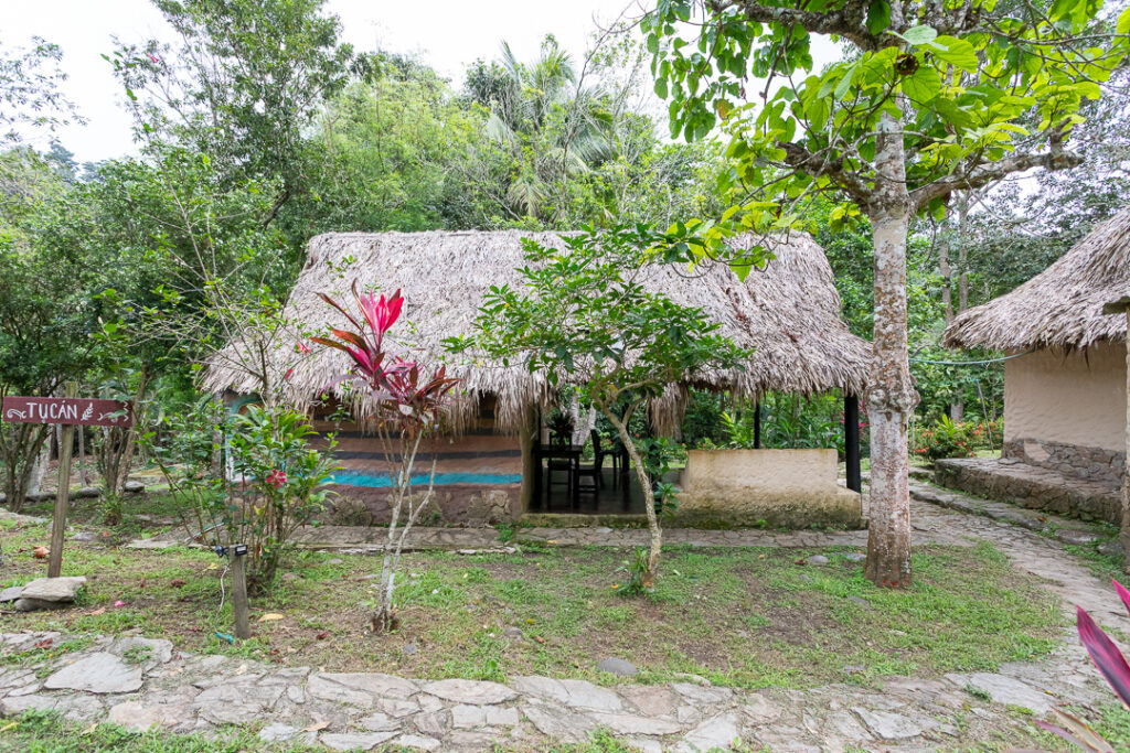 Tucan-8