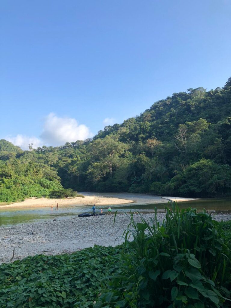 WhatsApp Image 2024-01-18 at 2.50.08 PM