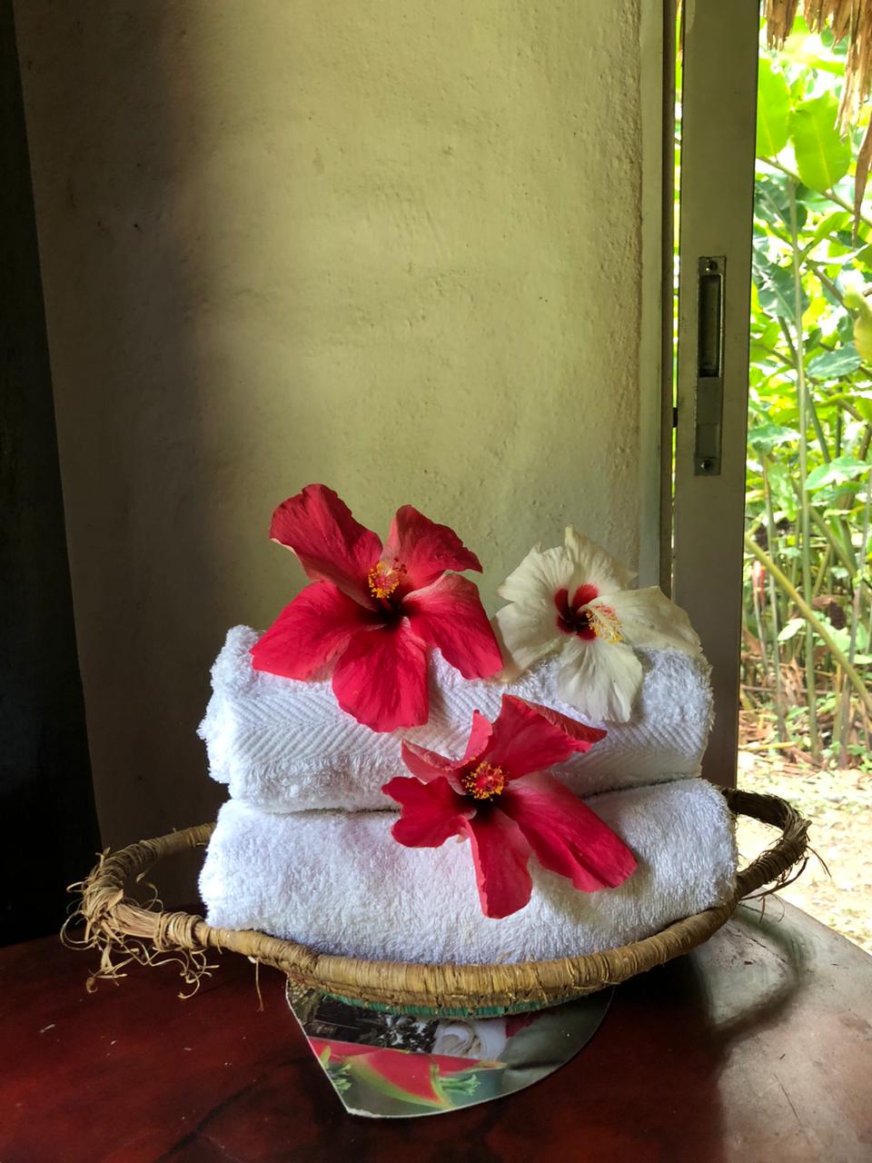 WhatsApp Image 2024-01-19 at 9.47.40 AM