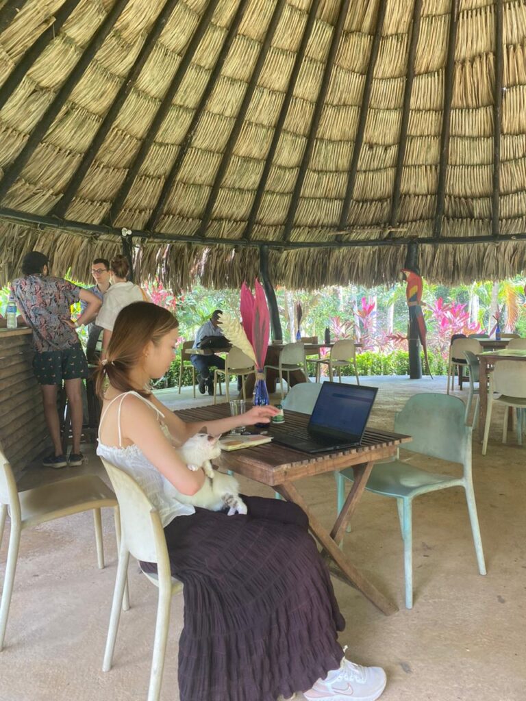 WhatsApp Image 2024-12-30 at 8.48.23 AM