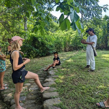 WhatsApp Image 2024-06-13 at 12.25.45 PM